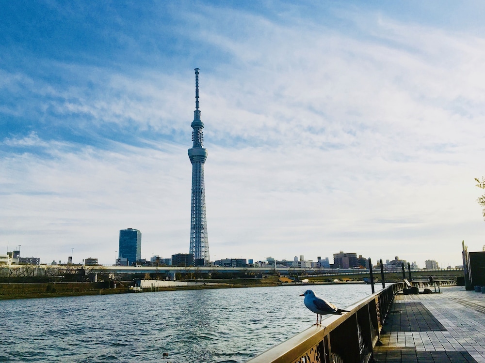 kangaroo hotel side b