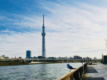 kangaroo hotel side b