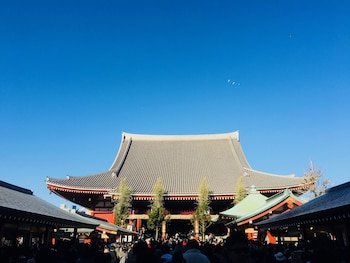 kangaroo hotel side b