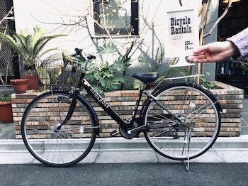 kangaroo hotel side b