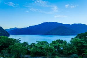 hakone ashinoko hanaori