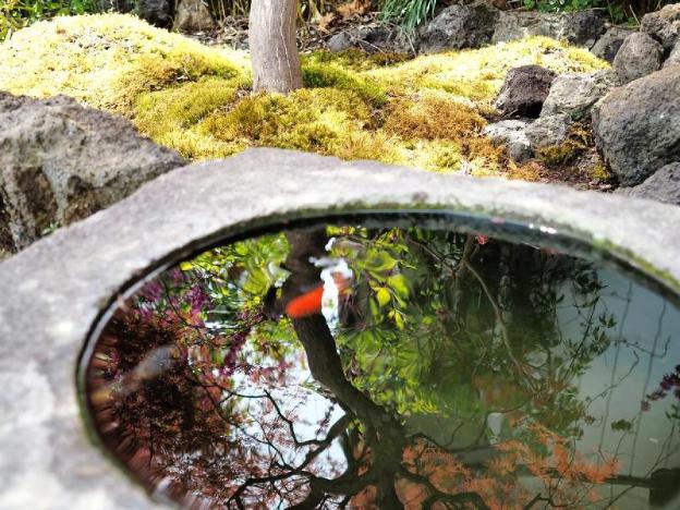 mt fuji hostel samurise kura