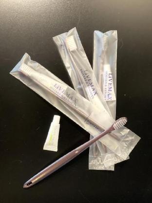 hotel livemax toyosu ekimae