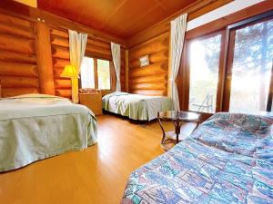 hakuba log hotel meteor