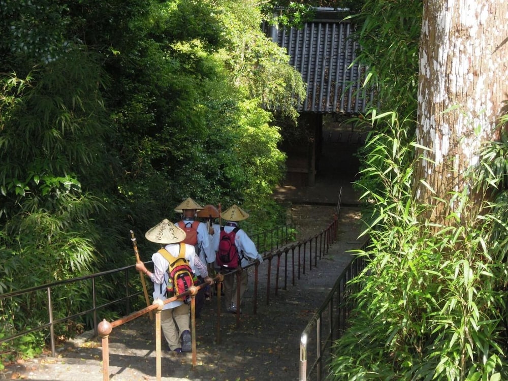 haruno guest house hostel