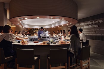 sotetsu fresa inn ginza sanchome