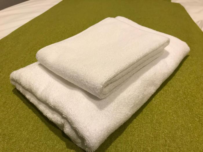 nest hotel hakata station