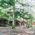 pica fujiyoshida campsite