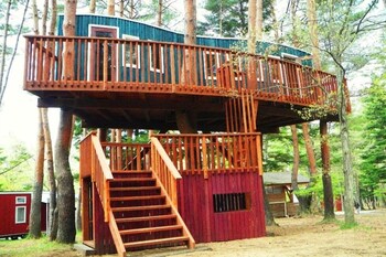 pica fujiyoshida campsite