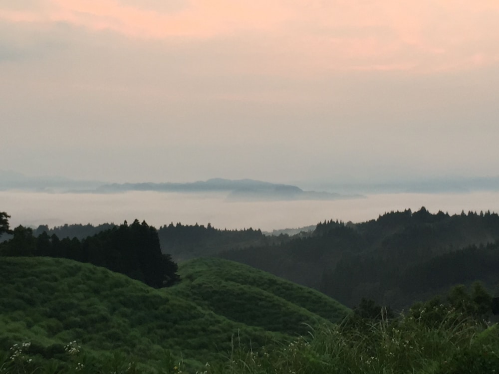 kurasako onsen sakura