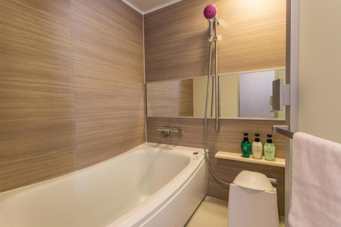 hotel musse ginza meitetsu