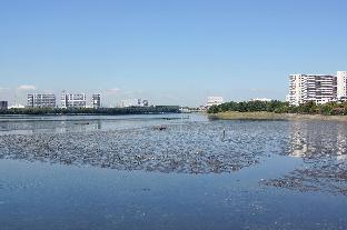 jr east hotel mets funabashi