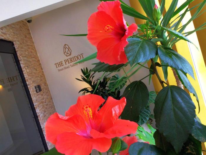 the peridot smart hotel tancha ward