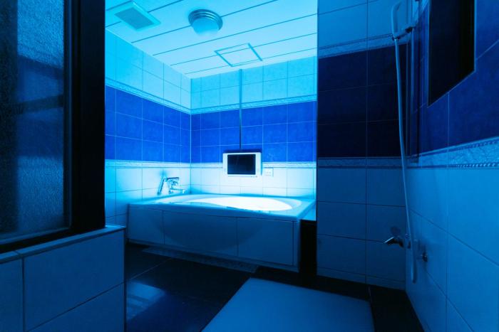 hotel perrier adults only