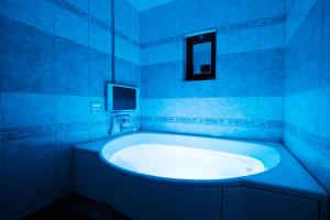 hotel perrier adults only