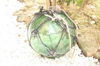 okinawa minshuku kariyushi honkan