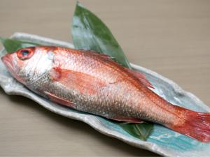 hotel wing international premium kanazawa ekimae