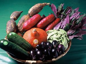 hotel wing international premium kanazawa ekimae