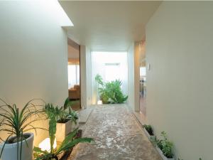 condominium t room