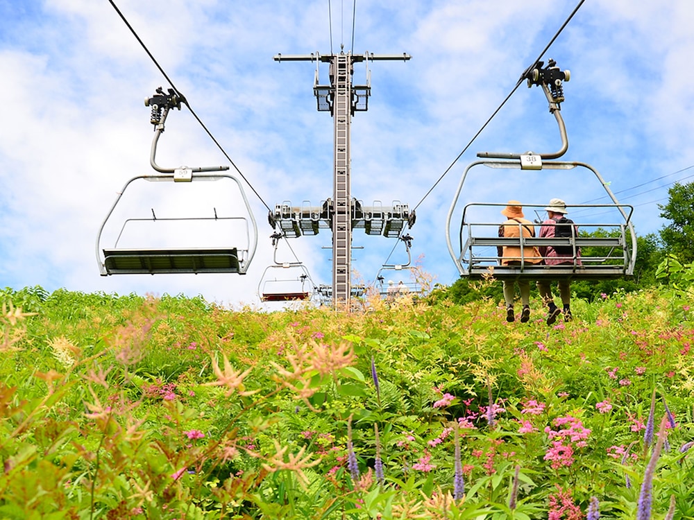 hakuba