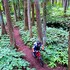 hakuba