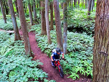 hakuba