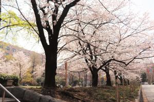 hotel keihan tsukiji ginza grande