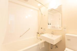 shimizu city hotel