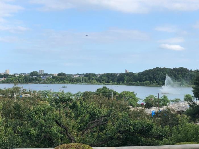 restay mito adults only