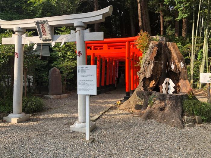 restay mito adults only