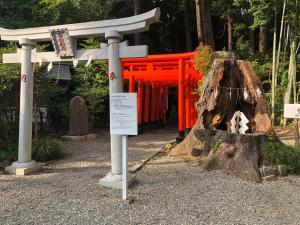 restay mito adults only