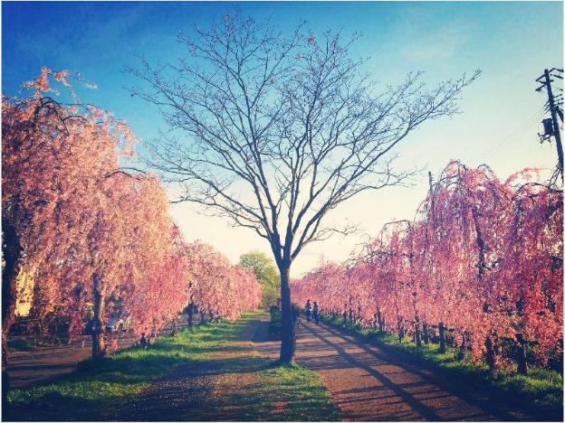 garden hotel kitakata