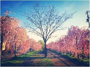 garden hotel kitakata