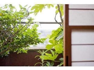 choshi