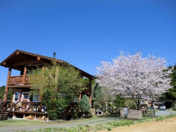 lassy condominium