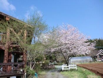 lassy condominium