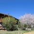 nishihara