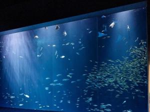 zentsuji grand hotel