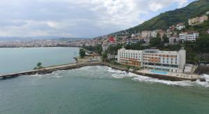 ordu