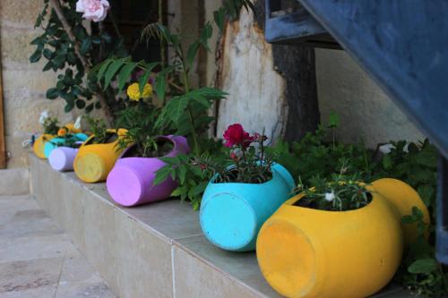 elif stone house