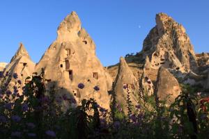 elif stone house