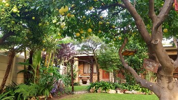 citrus lane guesthouse