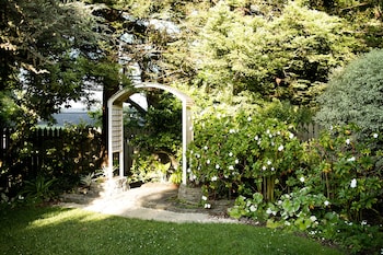 cambria