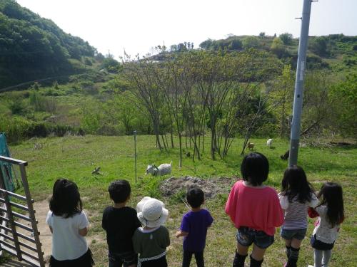 pension kuroshiomaru