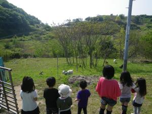 pension kuroshiomaru