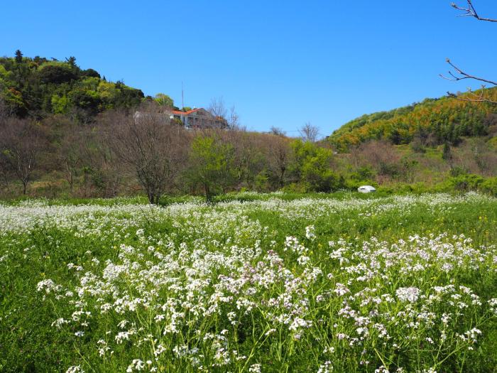 pension kuroshiomaru