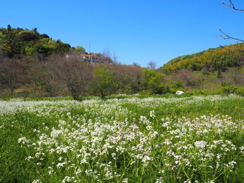 pension kuroshiomaru