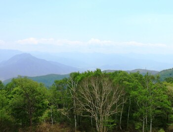 iiyama