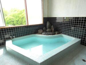 iiyama