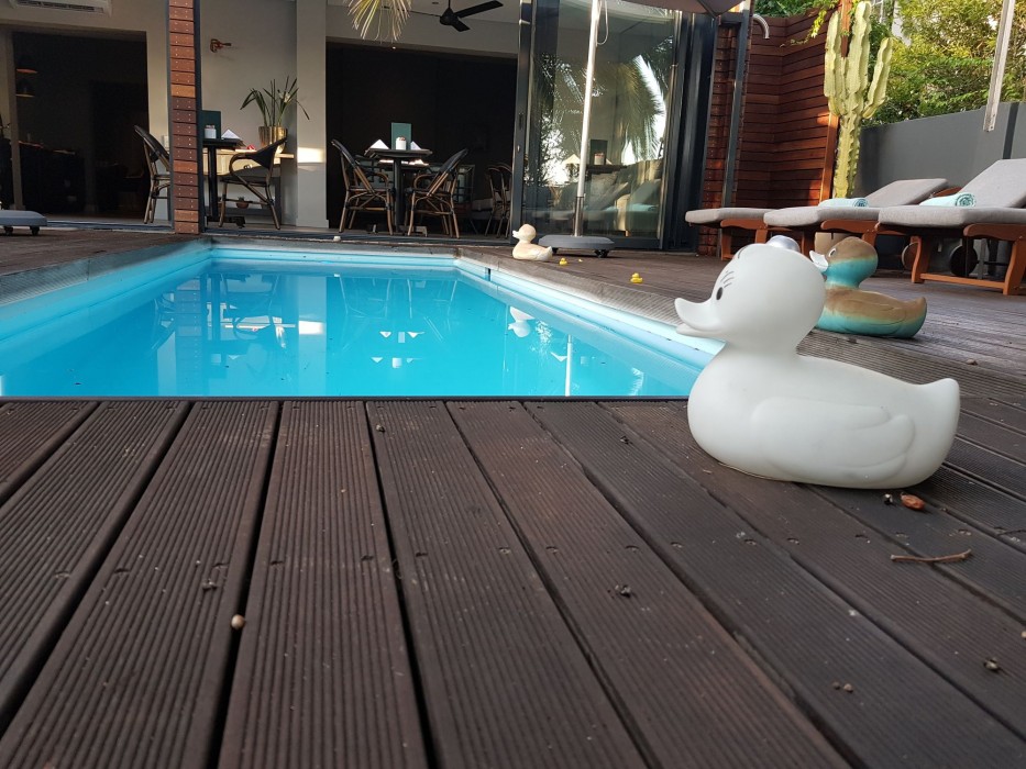 the tree house boutique hotel